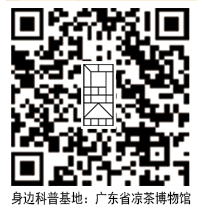 廣東涼茶博物館視頻.jpg