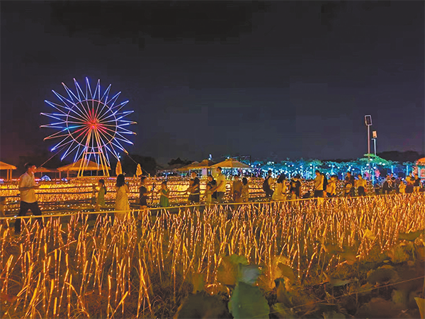國慶假期黃埔區逕下村上演田野燈光秀