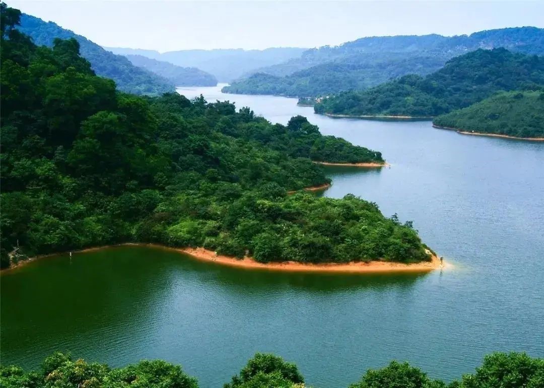 真·玩“野”！黃埔這些超有個性的踏青好去處！你還有幾個沒打過卡？