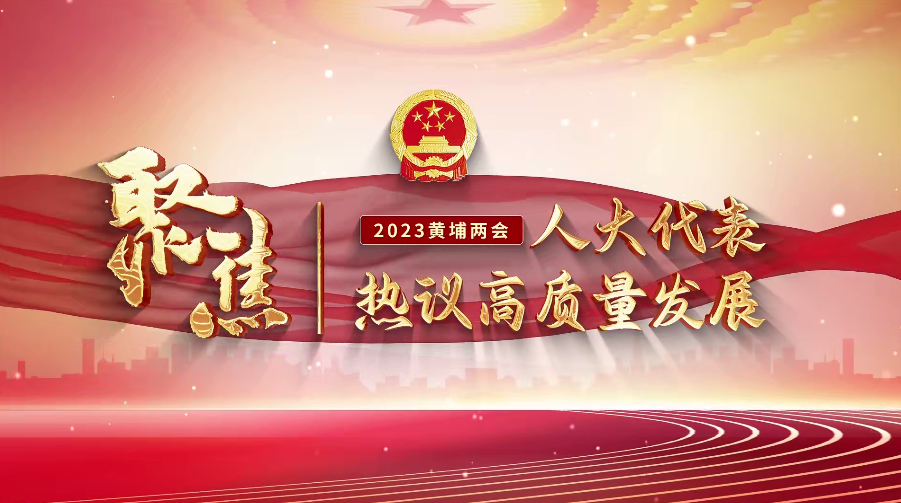 穩步推進舊改項目建設、打造全域公園城市…TA們履職為民擔使命
