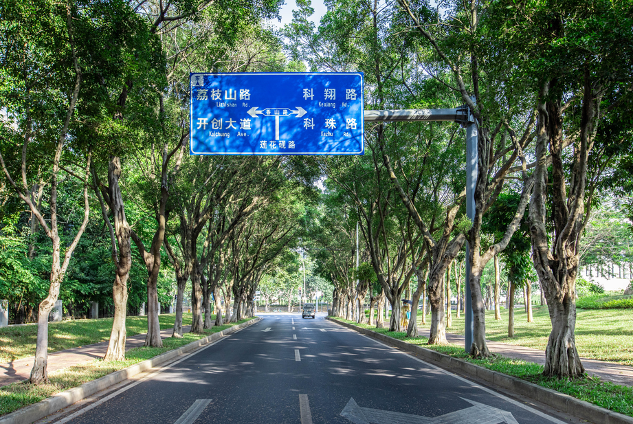 廣州黃埔：與樹木共生長！讓每棵樹都綠起來、美起來